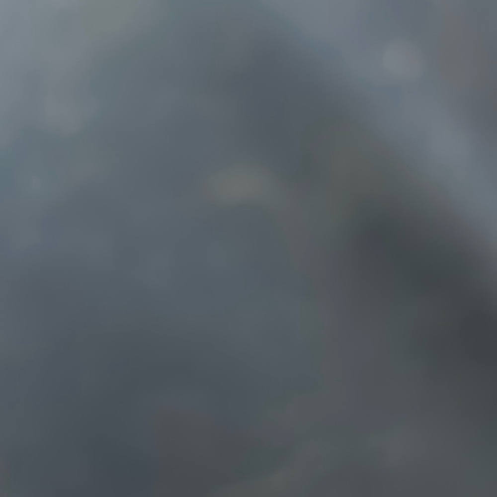 Brand new All Saints jacket